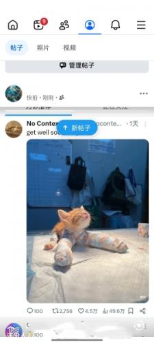 Facebook脸书官网版