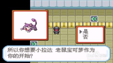 口袋妖怪火箭队 中文版