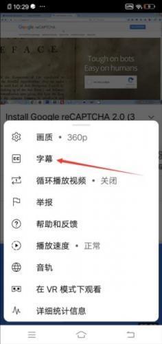 YouTube中文版