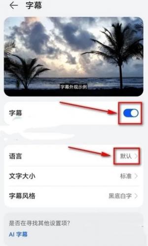 YouTube正版