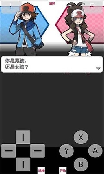 口袋妖怪白2