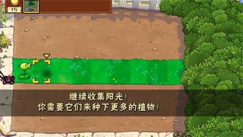 植物僵尸汉化版