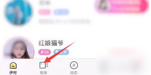 伊对相亲交友