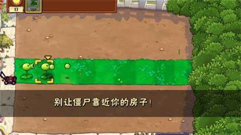 植物僵尸汉化版