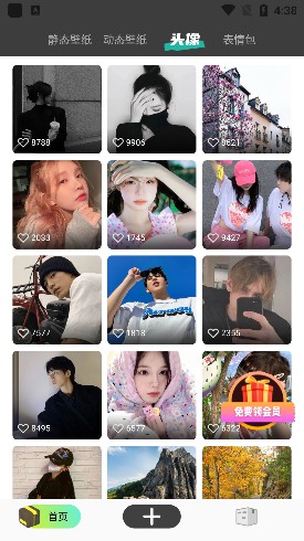 图集岛免费脚本