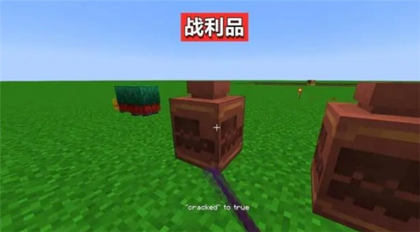 我的世界1.20版
