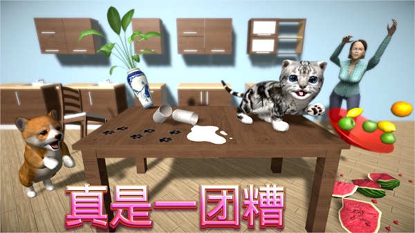 猫咪模拟器最新版(Cat Sim)