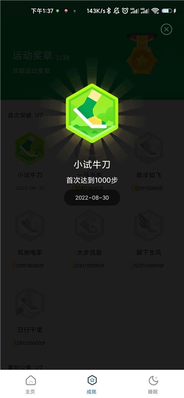 老王爱走路打卡
