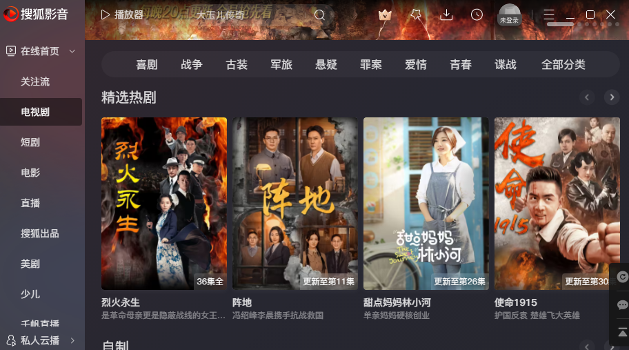 搜狐影音