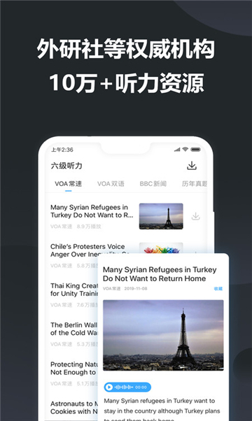 翻译大师软件