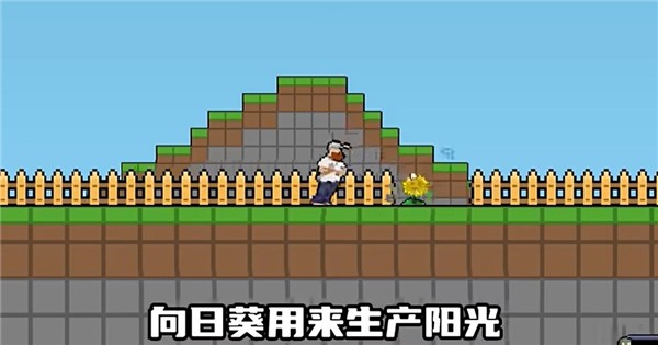 植物大战僵尸