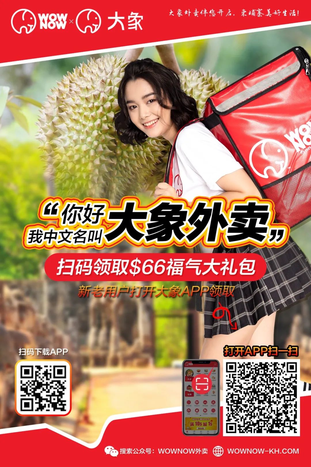 wownow大象