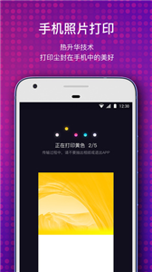 极印