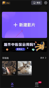 VivaCut安卓版