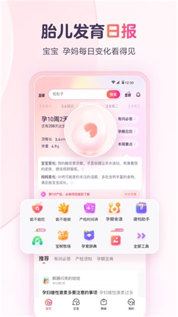 宝宝树孕育官方版免费版