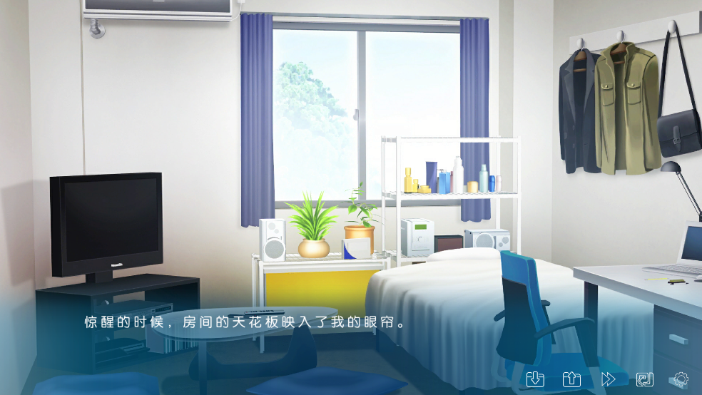 IRIS游戏