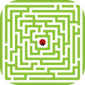 Maze King(迷宫之王安卓版)