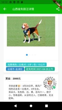 寻狗