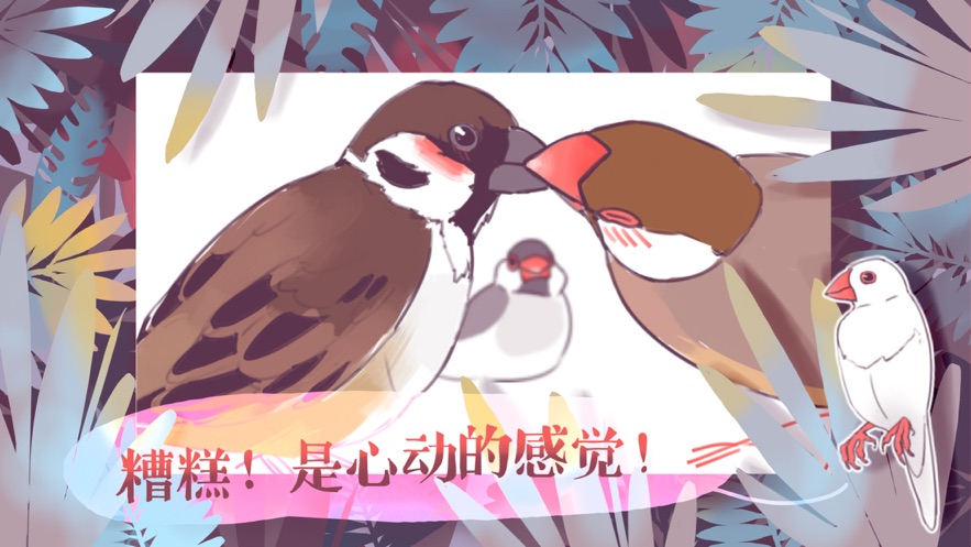 文鸟恋爱物语下载完整版