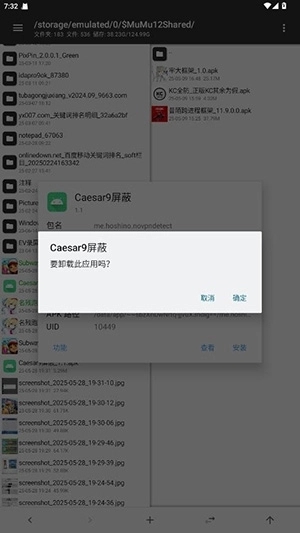 Caesar9屏蔽