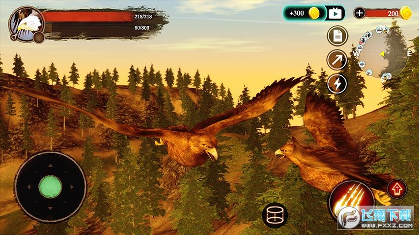 老鹰模拟游戏无限金币版(The Eagle)