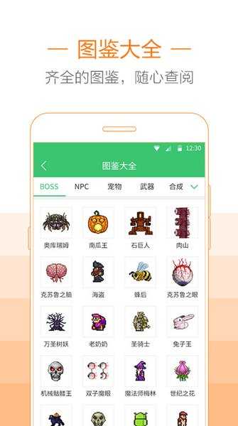泰拉瑞亚助手