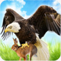 老鹰模拟游戏无限金币版(The Eagle)