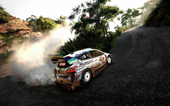 WRC The Game