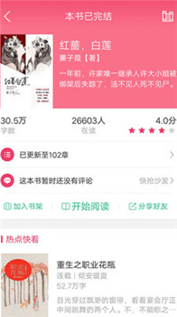 如果小说