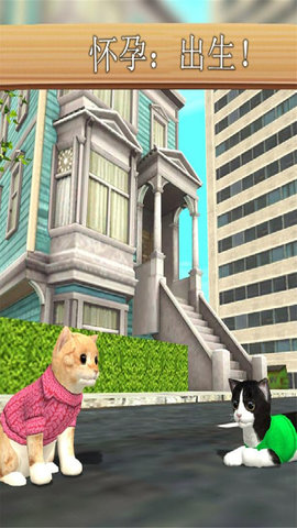 猫咪模拟器