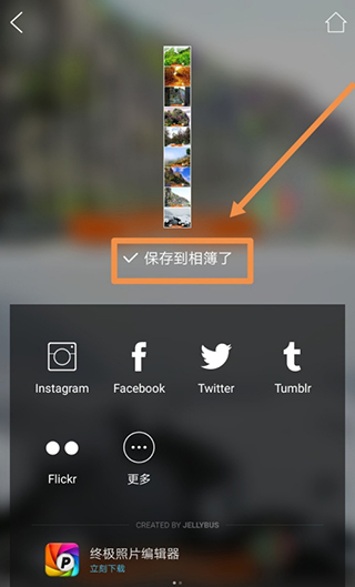 moldiv拼图