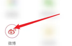 她社区2024