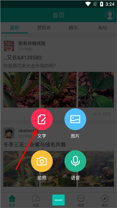 南美水族论坛