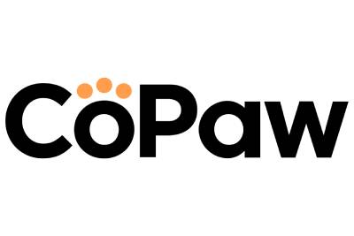 Copaw截图