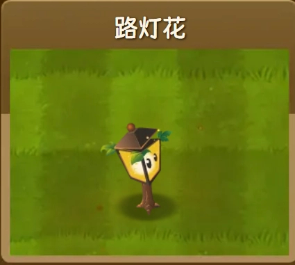 路灯花