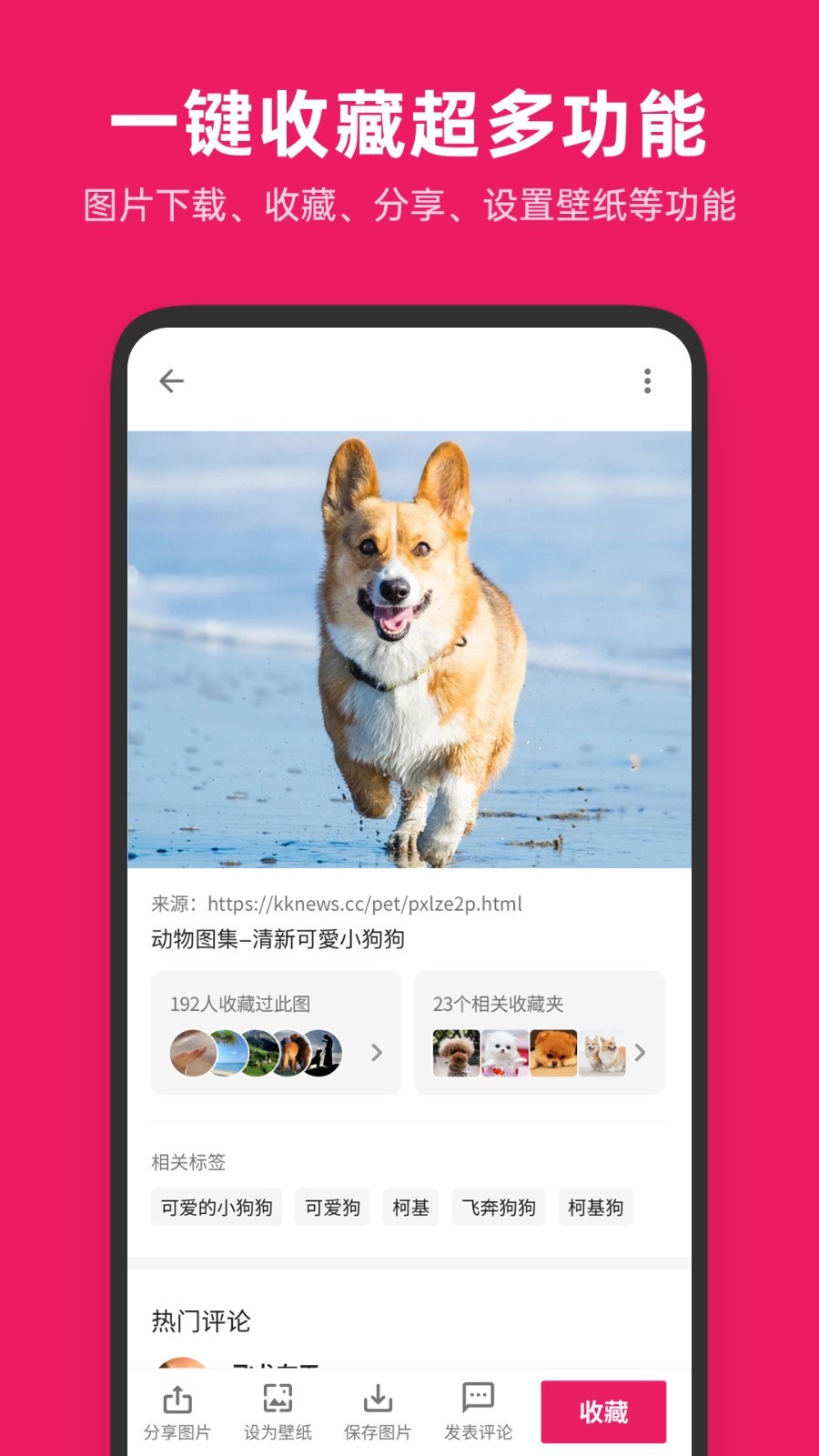 图片搜搜安卓版
