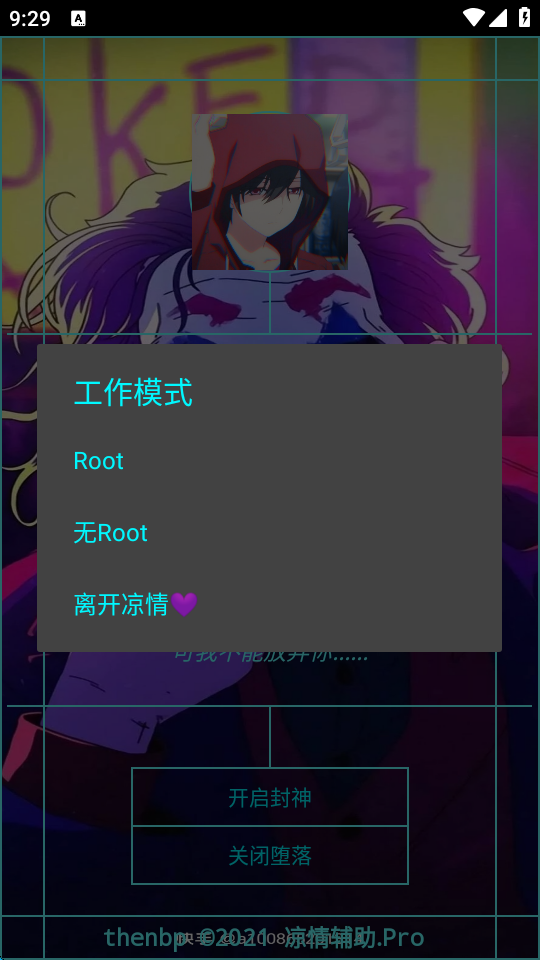 凉情辅助器pro