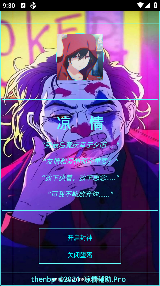 凉情辅助器pro