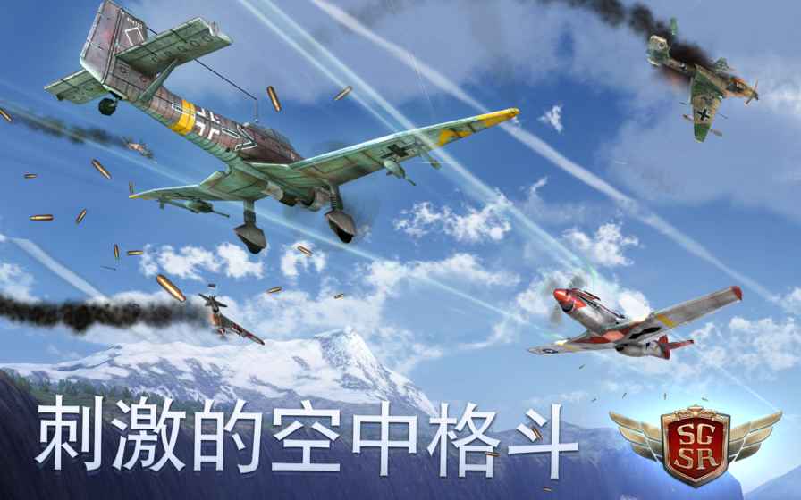 搏击长空：风暴特工队 正版