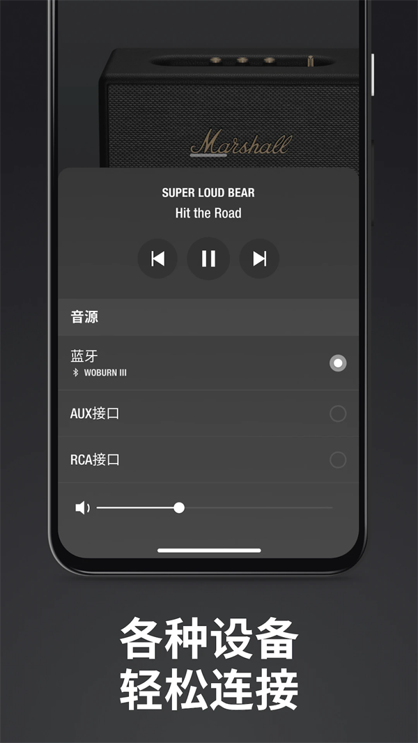 Marshall Bluetooth app