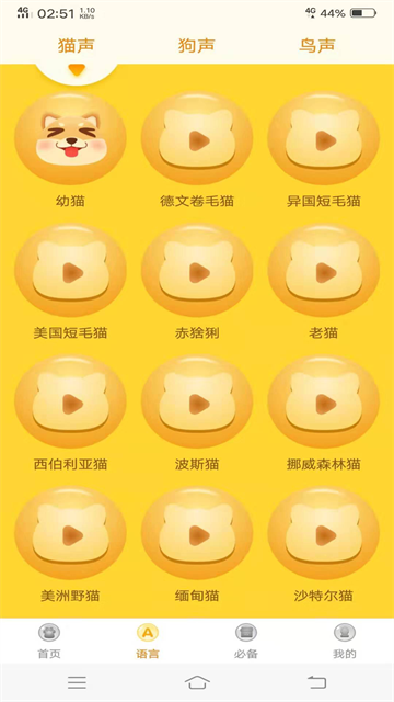 动物翻译器官方版