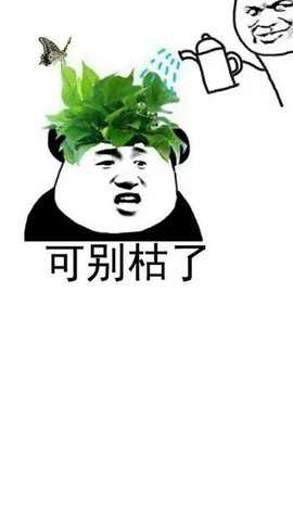 她他社