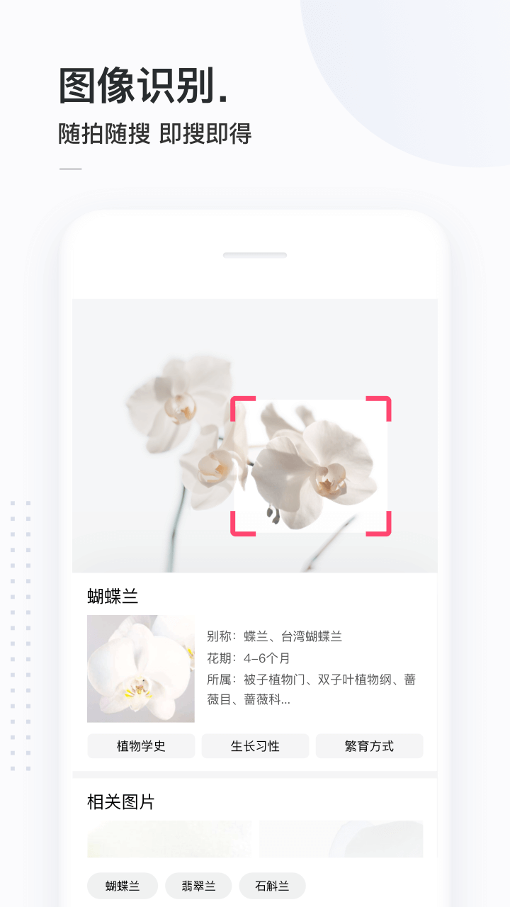 简单搜索旧版本下载