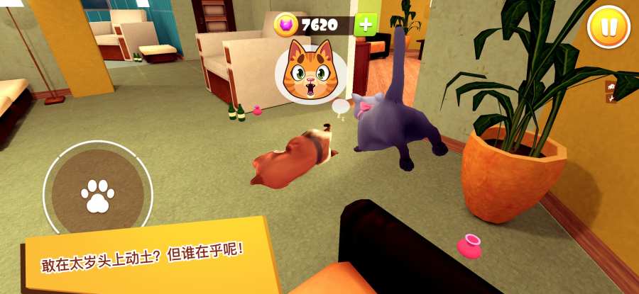 猫咪模拟器3D 猫咪模拟器3D