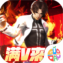 拳魂觉醒满V版