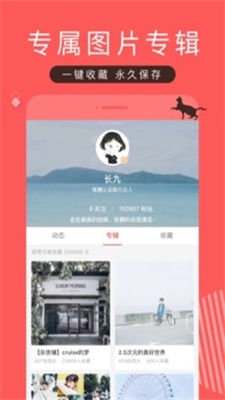堆糖2025