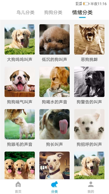 动物翻译器官方版