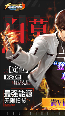 拳魂觉醒满V版