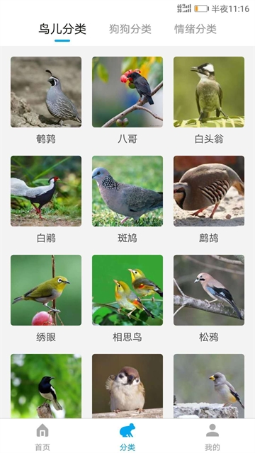 动物翻译器官方版