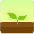 forest专注森林破解版